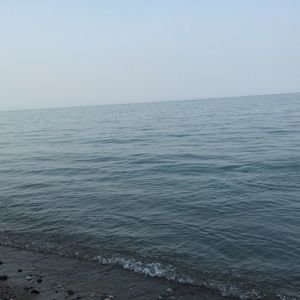 Meet your Posher, Liliana